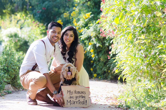 Save the date ideas for Indian weddings | Sav the date ideas with your pets | Dog says humans getting married | Curated by Witty Vows